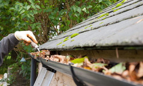 House Gutter Cleaning - ALAC Services